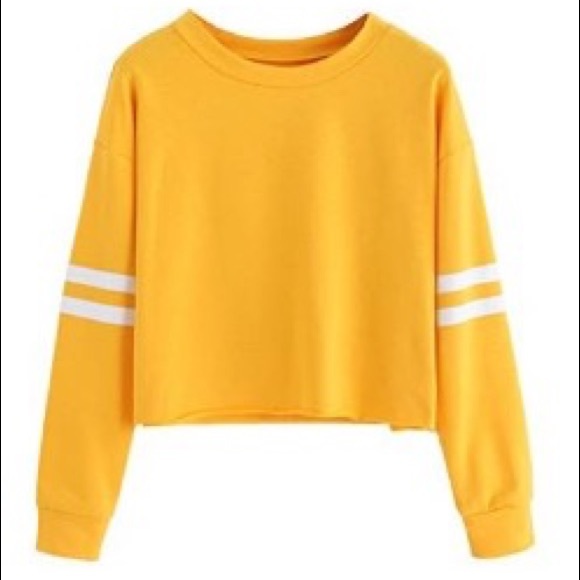 ISO - Picture 2 of 8